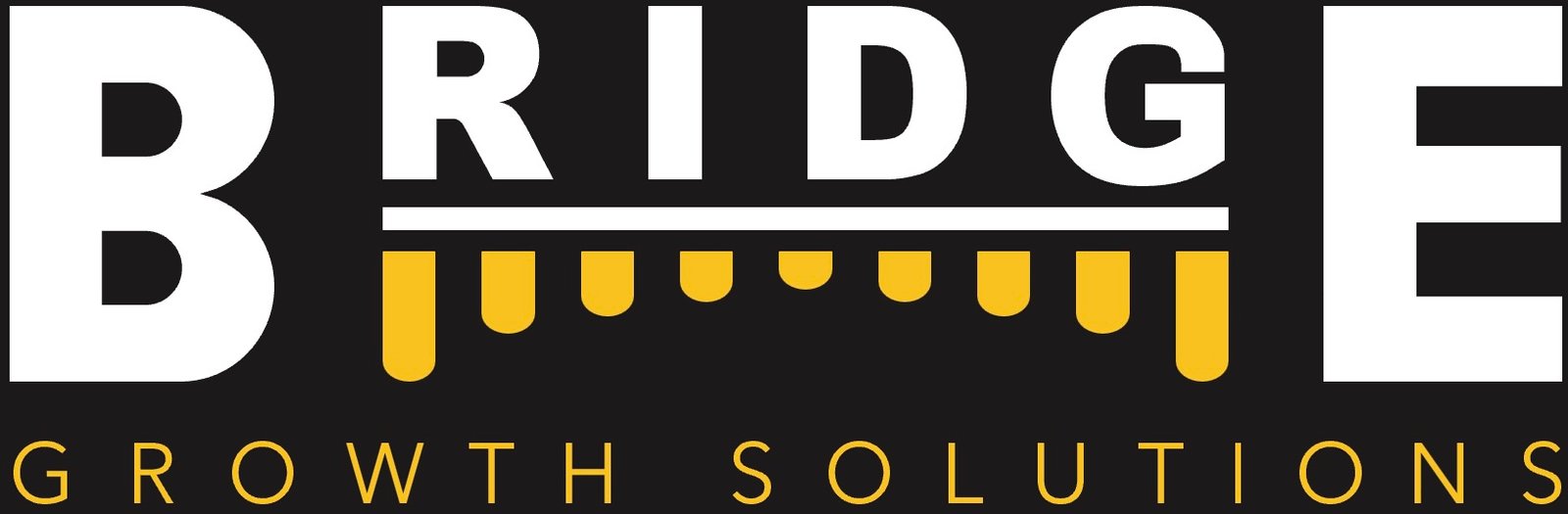 BRIDGE GROWTH SOLUTIONS